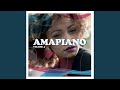 AmaPiano Vol 4 ((Continuous Mix))
