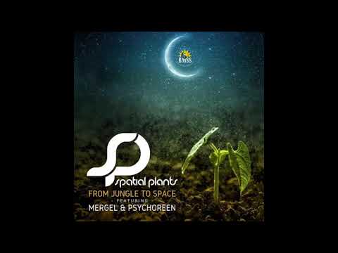 SPATIAL PLANTS, MERGEL & PSYCHOREEN - You Sick (Original Mix)