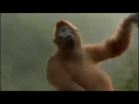 Dance Monkey - Tones & I (Hughesy Edit)