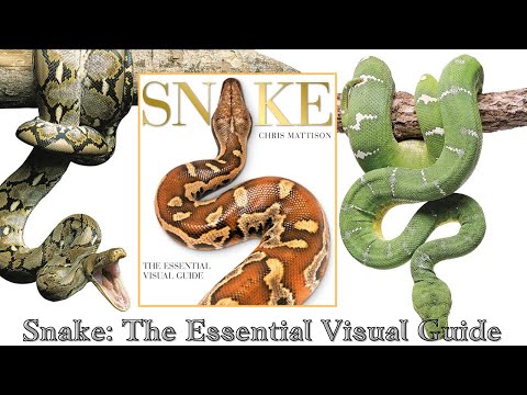 Snake: The Essential Visual Guide (Book flip)