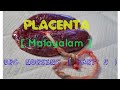Malayalam Tutorial || OBG NURSING ||  PART 5 || Placenta