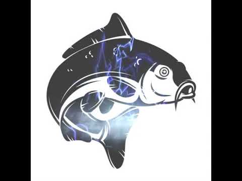 BIGFISH FREESTYLE ( Prod. BigFish )