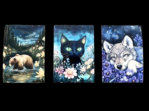 Incoming Good News   Pick A Card Tarot Reading