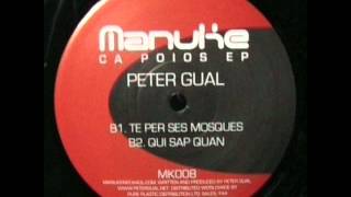 Peter Gual - Qui Sab Quan