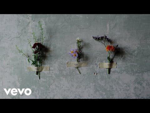 nayt - Bad vibes (Visual)