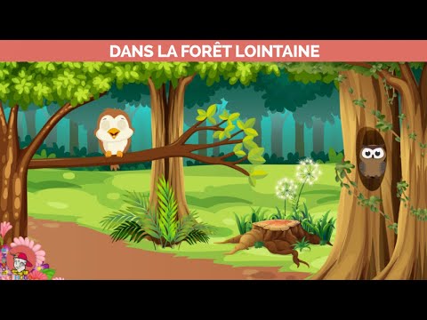 Le Monde d'Hugo - Dans la forêt lointaine