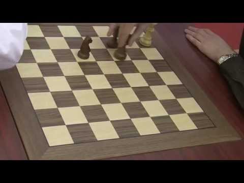 GM Karjakin - GM Grischuk. Classik Endgame (King, Elephant, Horse vs King)