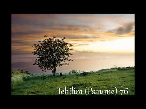 BYM audio : Tehilim (Psaumes) 75 à 77