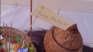 Download lagu Proses menanam  Ari - Ari ( Komang Aleta Rara Putri ) mp3