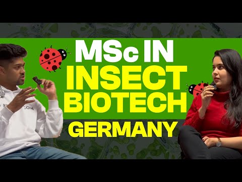 MSc in Insect Biotechnology and Bioresources, Germany 🇩🇪 (Justus-Liebig-Universität Gießen)