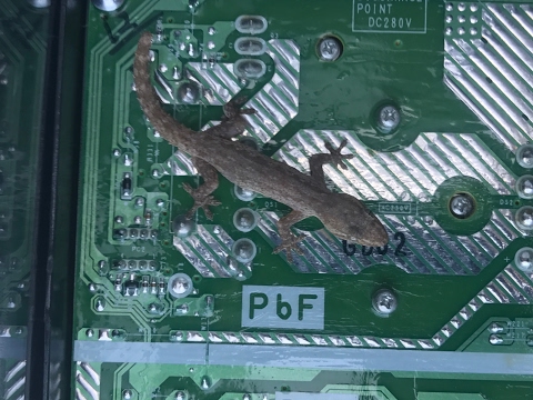 Gecko and Corrosion Proof P.C. Boards on Air-conditioning Units