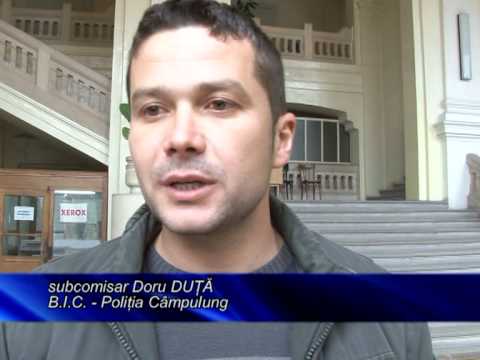 jurnal 24 11 2011 arestati sarbea si leau pentru ca au furat cablu telefonic, mihaela ivascu