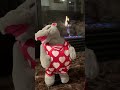 Hippo Love Machine Singing Dancing Plush