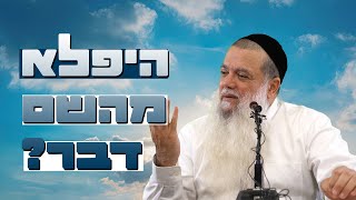 הרב יגאל כהן - היפלא מה' דבר? - שפת סימנים (ארגון ענפים) - התמונה מוצגת ישירות מתוך אתר האינטרנט יוטיוב. זכויות היוצרים בתמונה שייכות ליוצרה. קישור קרדיט למקור התוכן נמצא בתוך דף הסרטון