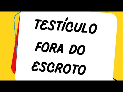 Caio Flavio Castro E Macedo-20