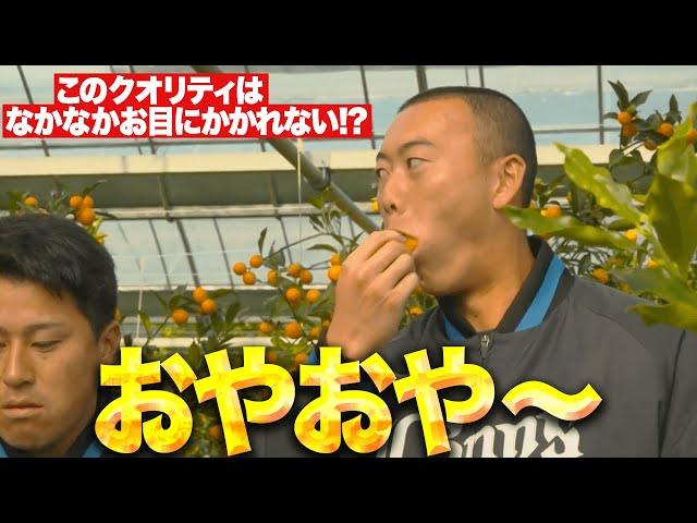 【おやおや〜】モノマネのクオリティ…『ぶらり途中獅子の旅』