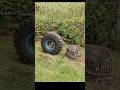 Stump Removal Using a Tire And Winch