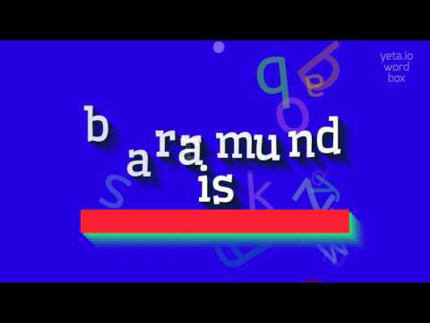 HOW TO PRONOUNCE BARRAMUNDIS? #barramundis