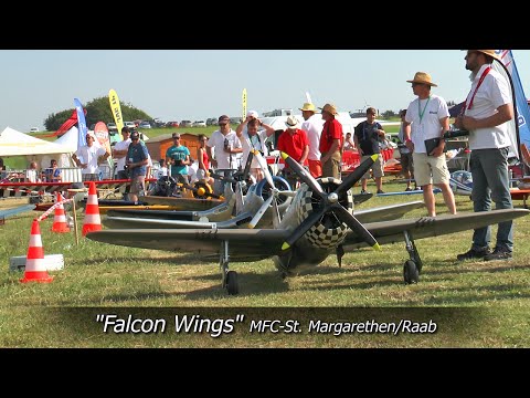 Falcon Wings - 6 Warbirds In Action