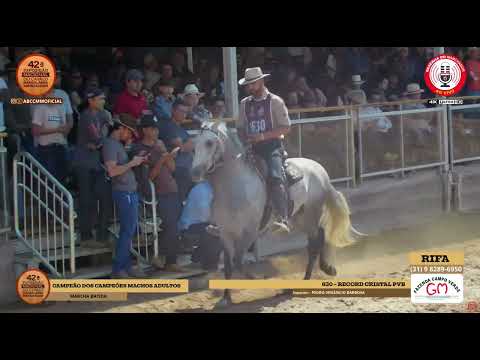 Apresentação dos Conjuntos Campeão dos Campeões de Marcha Batida Nacional 2025
