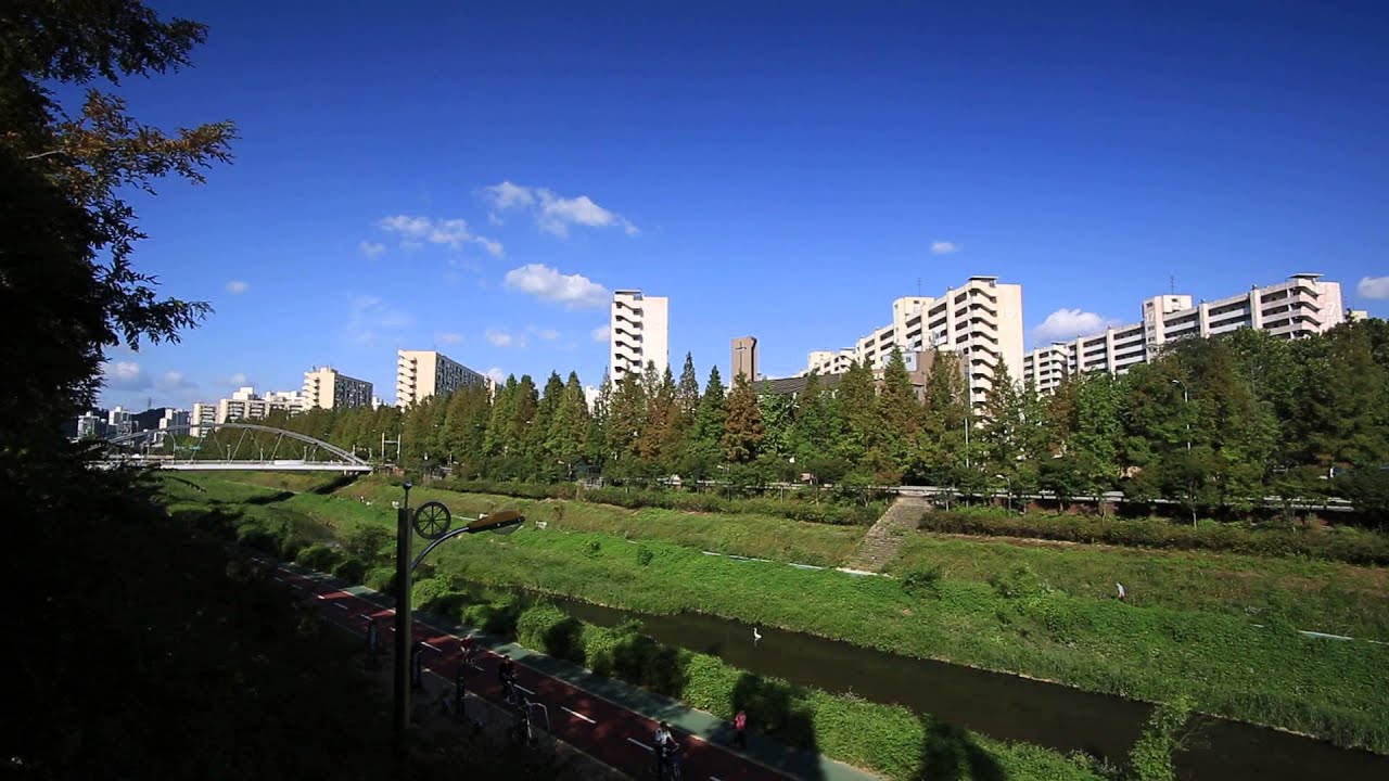 Поляризационный фильтр Kenko Slim C-PL 40.5mm