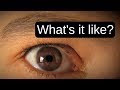 See through My Eyes | A Low Vision Simulation