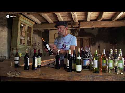 Goede wijn kiezen in de supermarkt | Gorts Wijnkwartier