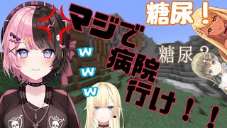 聞き間違えすぎてひなーのに怒られるリサちゃん【ぶいすぽ/藍沢エマ/神成きゅぴ/橘ひなの/英リサ/マイクラ/切り抜き】