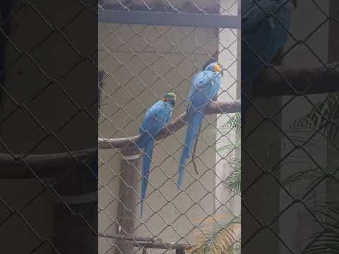 Passeio zoológico de Volta Redonda - Rio de Janeiro 
