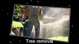 preview picture of video 'Tree Trimming 78728 | (512) 887-7553 |Marble Falls|Austin|Cedar Park TX'