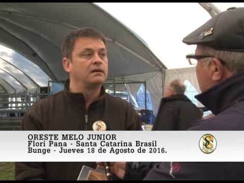 18-08-16 Nota Oreste Melo Junior - Cabaña Tres Marias - Bunge.