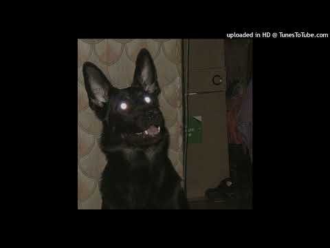 $NOT X ILYTOMMY X LILBUBBLEGUM TYPE BEAT "SOLD OUT"