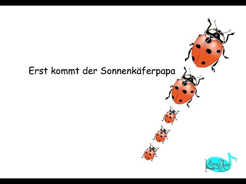 Erst kommt der Sonnenkäferpapa - Kinderlieder zum Mitsingen | KlingKurz