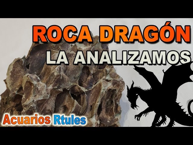 Vídeo relacionado con Amtra Rock Dragon Stone Acuario Decoración Caliza Natural 1 Kg .
