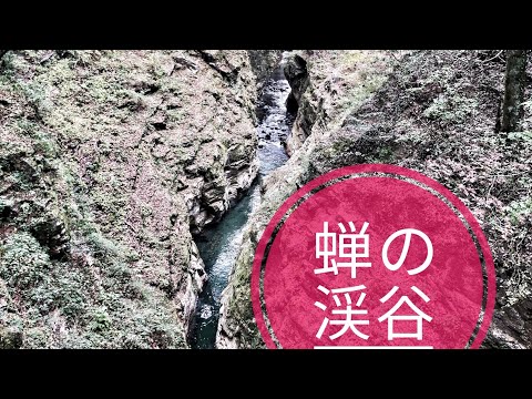 [Passeio] Aldeia Minamimaki, Prefeitura de Gunma “Vale da Cigarra”