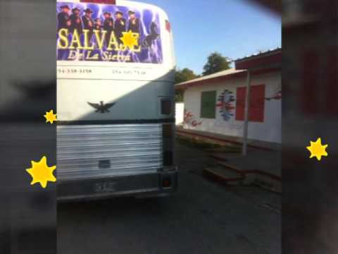 Salvaje de la sierra