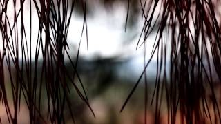 Txarango Som Riu a l&#39;estudi - (3/3)