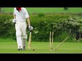 Cricket Wicket ( Bowled ) Sound Effects For Youtube Videos Editing