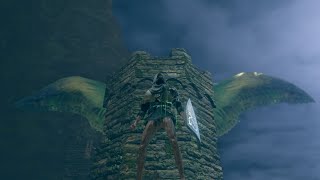 【ゆっくり解説/検証】月光蝶スキップ Moonlight Butterfly skip（仮題）【DARK SOULS REMASTERED】