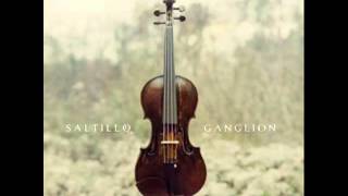 Saltillo - Remember me.