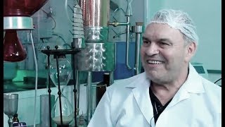 Quer saber como são feitos os florais e como eles funcionam? - Parte I