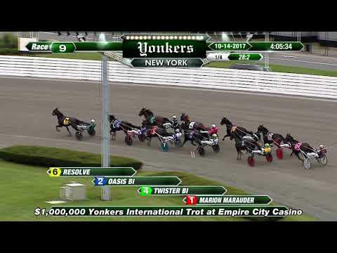 2017 International Trot