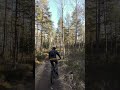 DJI Neo Follow Me Mode Gone Wrong Crash Djidrone Djineo Mtb Funny Shorts Trending