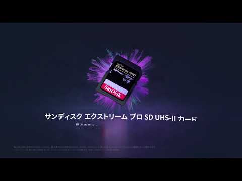 SDXCカード ExtremePRO（エクストリームプロ） SDSDXDK-256G-JNJIP ...