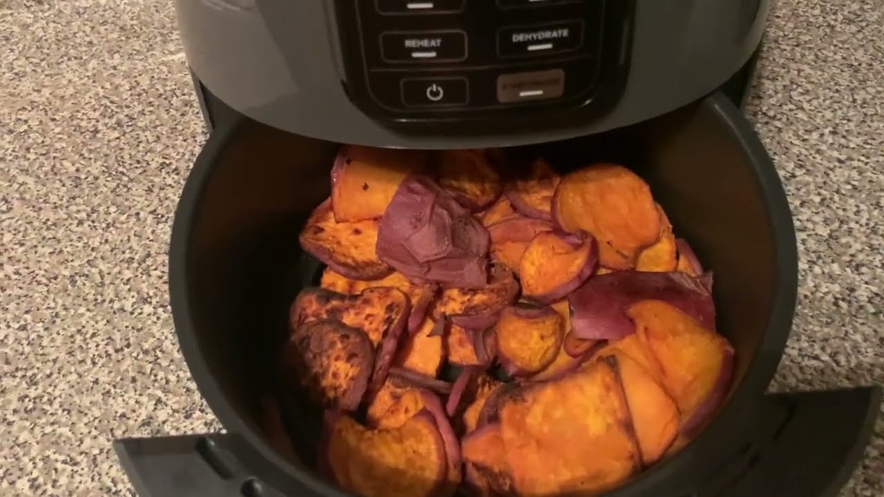 HONEST review of Ninja AF101 Air Fryer