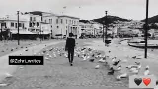 Tiktok status video Luis fonsi