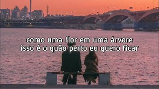 Backstreet Boys - Just To Be Close To You - Tradução