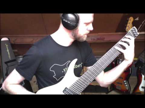 Benjamin van Geest - .strandberg* Boden OS 8 on 'Work In Progress'