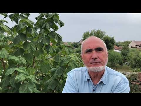 Equilibrium | Mister James | Crivina de Sus