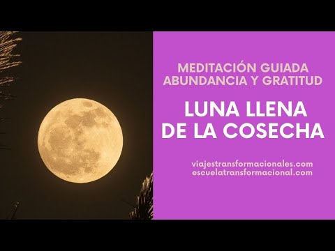 Meditación Abundancia Y Gratitud: Luna Llena DE LA Cosecha